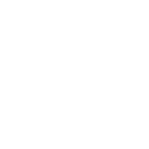 Logo Intex 01