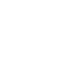 Logo Intex 02