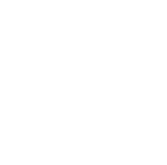 Logo Intex 01