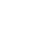 Logo Intex 01